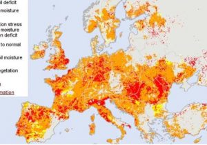 بدترین خشکسالی ۵۰۰ سال اخیر در قاره سبز