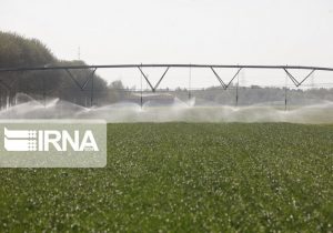 تحقق اندازه‌گیری آب ۳۵ محصول کشاورزی کشور توسط محققان بخش کشاورزی 