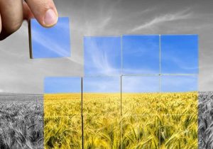 نظام سرمایهداری عامل اصلی بروز بحران غذا در جهان است