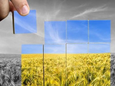 نظام سرمایهداری عامل اصلی بروز بحران غذا در جهان است