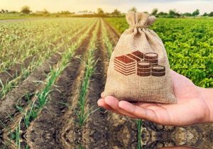 مدل تهاتری، راه‌حل معضل نقدینگی کشاورزان