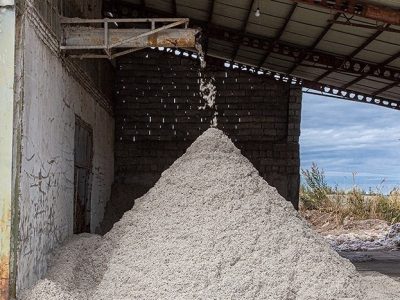 پیش بینی افزایش ۲۵ درصدی تولید الیاف پنبه کشور در سال جاری