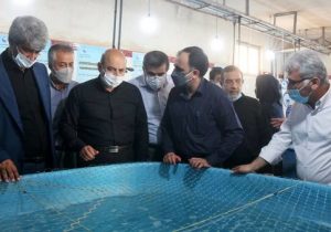 دستیابی به بیوتکنیک بچه ماهی سی باس آسیایی در خوزستان