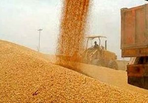 فهرست استان های پیشتاز