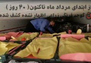 کشف دهها پالت محصولات زراعی قاچاق توسط گمرک