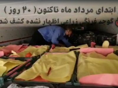 کشف دهها پالت محصولات زراعی قاچاق توسط گمرک