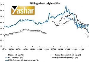 روسیه عوارض صادراتی گندم را تعیین کرد
