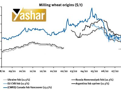 روسیه عوارض صادراتی گندم را تعیین کرد