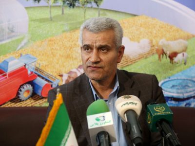 تخصیص ۹۱ هزار و ۵۰۰ میلیارد ریال تسهیلات به بخش دام و طیور