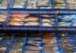 تولید آبزیان در آسیا رکورد زد