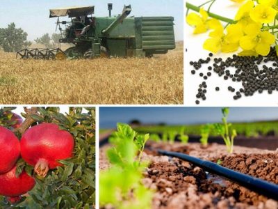 مزیت توسعه روابط تجاری ایران و ازبکستان در بخش کشاورزی چیست؟