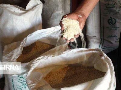 وزارت جهاد کشاورزی وارد فرآیند بازار خرید برنج می‌شود