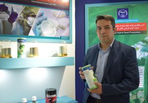 قطع وابستگی به خارج با دستیابی به توان تولید و صادرات بذرهای هیبریدی 
