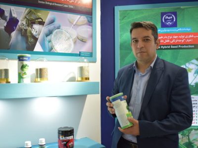 قطع وابستگی به خارج با دستیابی به توان تولید و صادرات بذرهای هیبریدی 