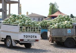 صدور ۱ میلیون و ۵۰۰ هزار تُن محصول آب بر در ۵ ماهه امسال