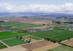 اختصاص ۲۰ درصد تسهیلات بخش کشاورزی بانکها به کشاورزی قراردادی