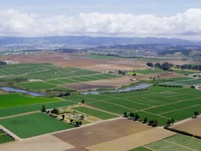 اختصاص ۲۰ درصد تسهیلات بخش کشاورزی بانکها به کشاورزی قراردادی