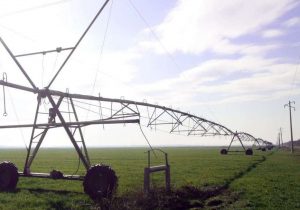 تجهیز ۲۵ هزار هکتار اراضی کشاورزی به سامانه نوین آبیاری در سال جاری