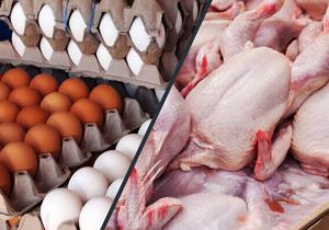 قیمت جدید مرغ و تخم مرغ به زودی اعلام می شود