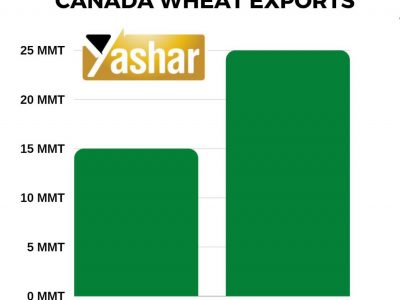 عوارض جدید صادراتی گندم روسیه