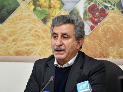 نقش دیمزارها در تغذیه با طرح «جهش تولید» برجسته شد