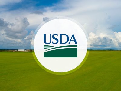 تغییرات عمده در وضعیت عرضه و تقاضای جهانی از روسیه و اوکراین در گزارش این ماه قابل توجه بود.