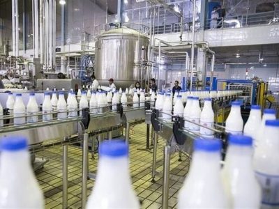 عرضه لبنیات با ۲۰ درصد تخفیف در میادین میوه و ترهبار