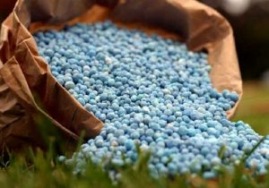 کیفیت کودهای یارانه‌ای خط قرمز شرکت خدمات حمایتی کشاورزی