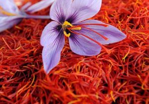 نخستین محموله بزرگترین قرارداد تجاری زعفران جهان به قطر ارسال شد