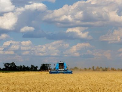 بی‌توجهی به امنیت غذایی به کشور لطمه می‌زند / دولت مکلف به اجرای اسناد ملی است