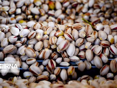 نهمین جشنواره ملی پسته ایران در دامغان آغاز شد 