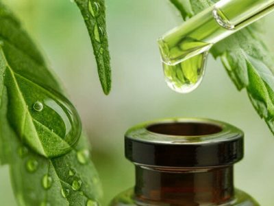 صادرات یک نوع ماده مؤثره گیاهی ایرانی به ژاپن