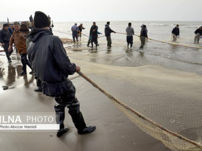 تمدید ممنوعیت صید تجاری ماهیان خاویاری خزر