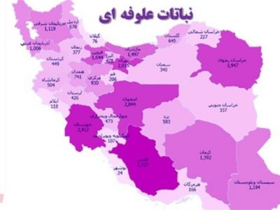 طبقه بندی استان‌های کشور برای تولید علوفه اعلام شد + اینفوگرافیک