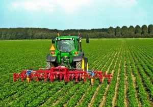 ممنوعیت صادرات در پیک تولید راه حل مناسبی نیست