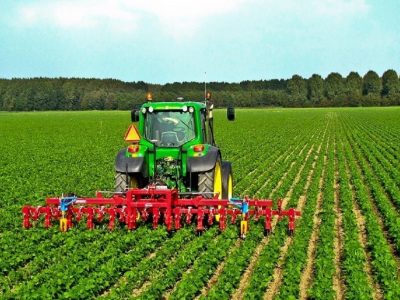 ممنوعیت صادرات در پیک تولید راه حل مناسبی نیست