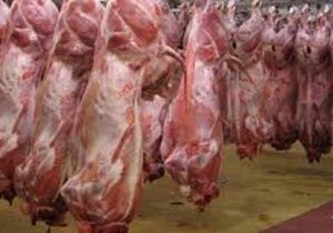 نگرانی برای تامین گوشت قرمز داخل نداریم
