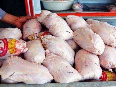صادرات مرغ در دستور کار قرار گرفته است