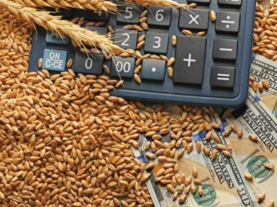 کرایه حمل و نقل هر کیلو گندم در کشت قراردادی ۱۰۰ تومان تعیین شد