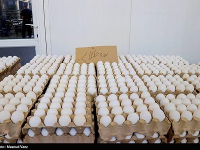 تخم مرغ را گران کنید