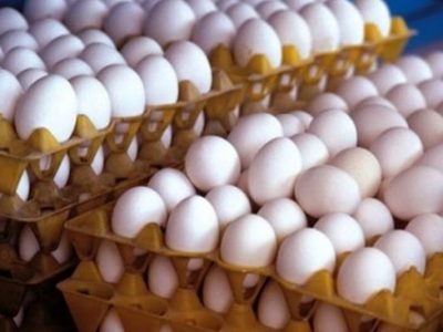 عرضه هر عدد تخم مرغ فله بالاتر از ۳ هزار و ۳۰۰ تومان گرانفروشی است