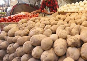 تعرفه صادرات ۳ محصول کشاورزی حذف شد