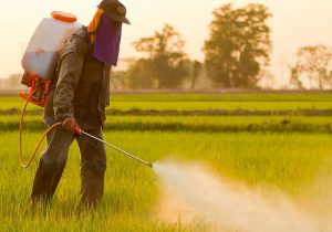 صرفه‌جویی ارزی ۱۲۵ میلیون دلاری با جلوگیری از واردات سموم کشاورزی آماده مصرف