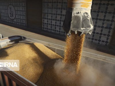 کالاهای اساسی تا پایان اردیبهشت ۱۴۰۲ بهوفور تامین است