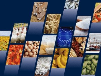 ارزانی ۲۰ درصدی کالاهای اساسی به دلیل وفور عرضه