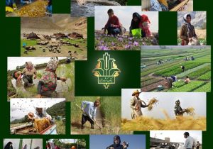 جذب ۱۰۰درصدی اعتبار تبصره ۱۸ توسط بانک کشاورزی برای تامین مالی طرح های اشتغالزا