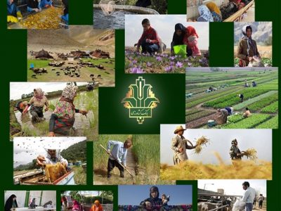 جذب ۱۰۰درصدی اعتبار تبصره ۱۸ توسط بانک کشاورزی برای تامین مالی طرح های اشتغالزا