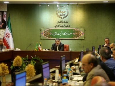 لزوم افزایش سهم آبزیان در سبد مصرفی خانوار