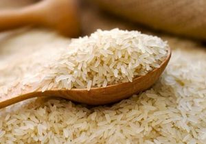 وزارت جهاد در تعیین زمان صادرات و واردات تأمل کند