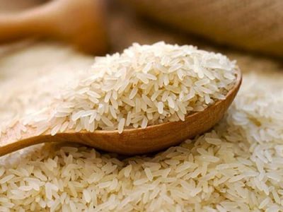 وزارت جهاد در تعیین زمان صادرات و واردات تأمل کند